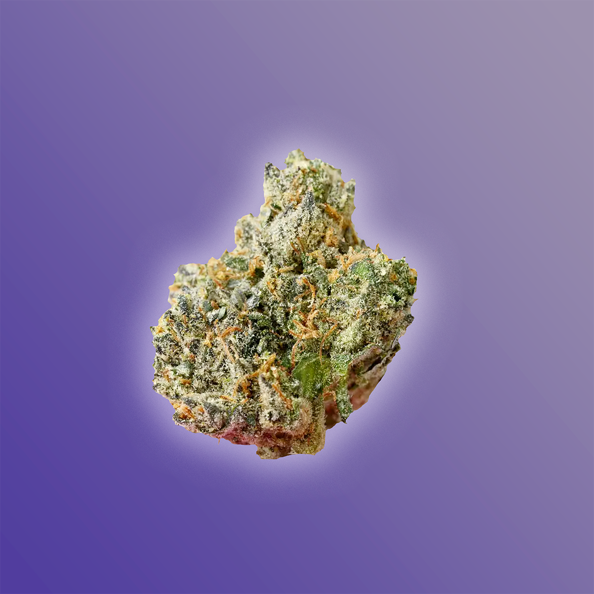 Black Garlic Gelato THCa flower smalls indica 28g