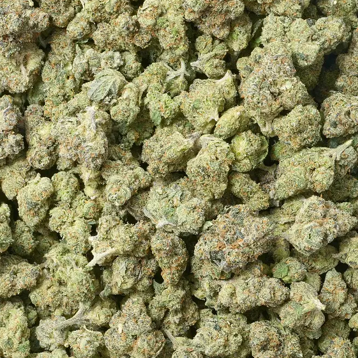 Black Garlic Gelato THCa flower smalls indica close-up