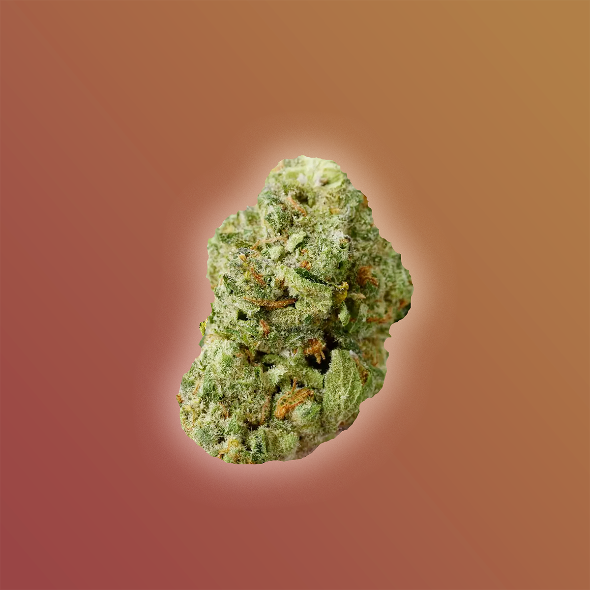 Chocolope THCa flower smalls sativa 28g