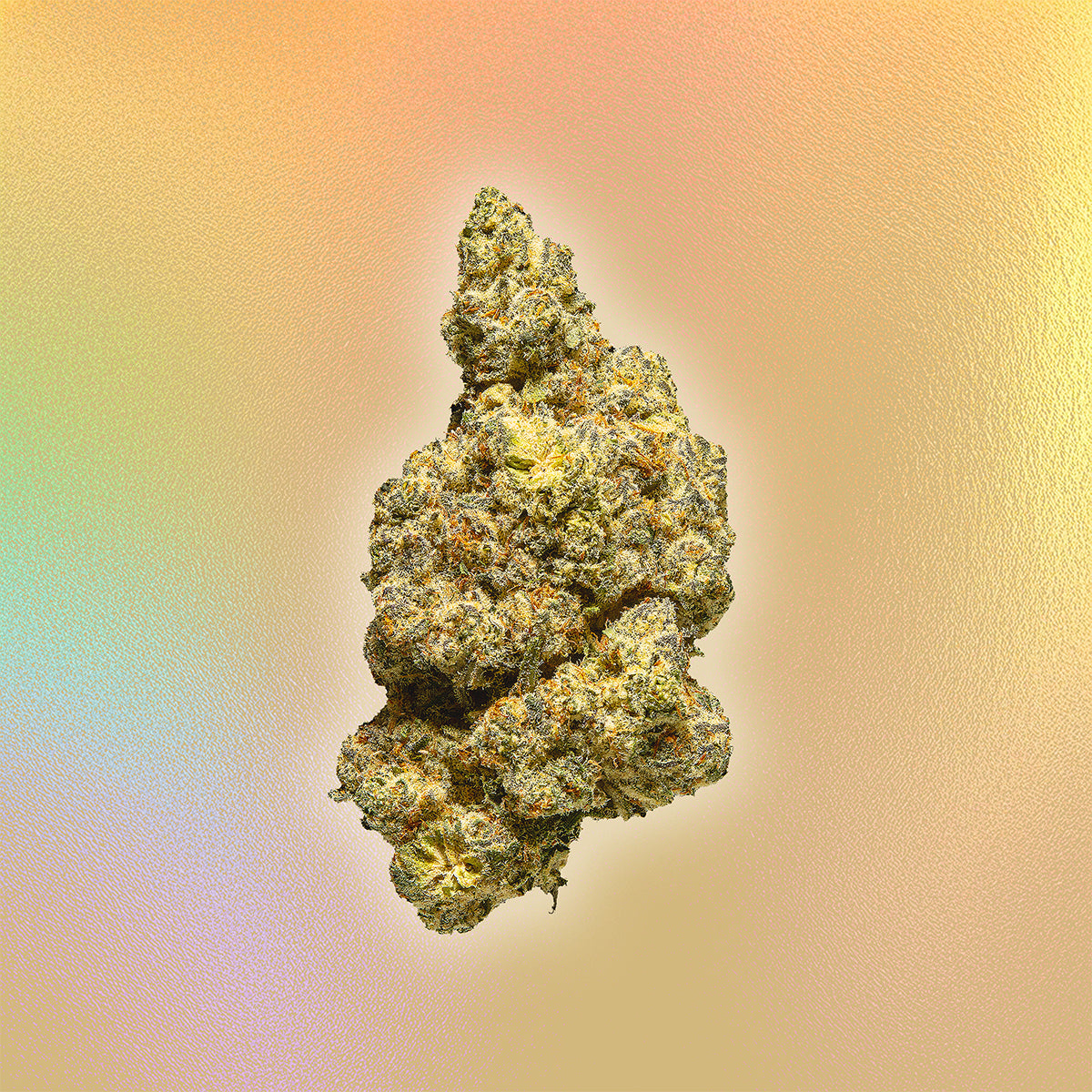 Dodi - Charlie OG - THCa Flower - Sativa