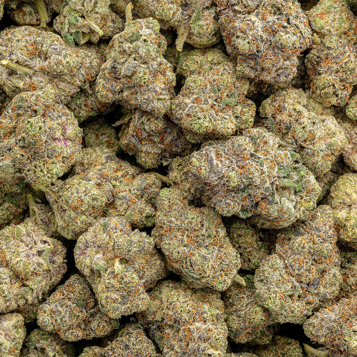 Dodi - Milk & Cookies - THCa Flower - Indica