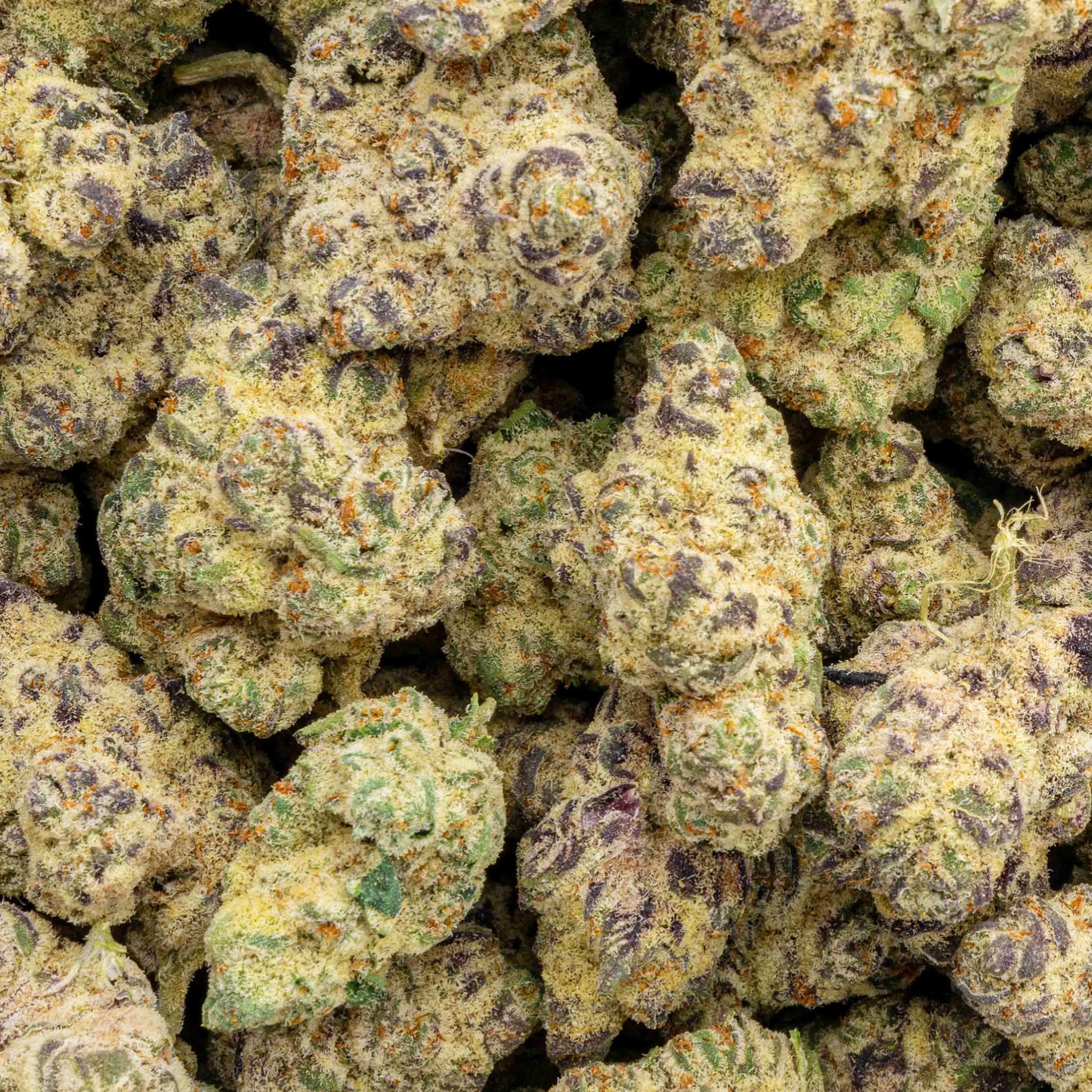 Lilac Diesel THCa flower sativa 3.5g