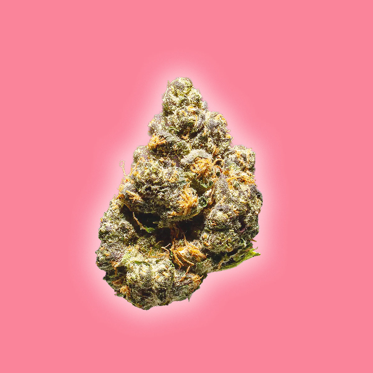 Watermelon Z THCa flower smalls hybrid 28g