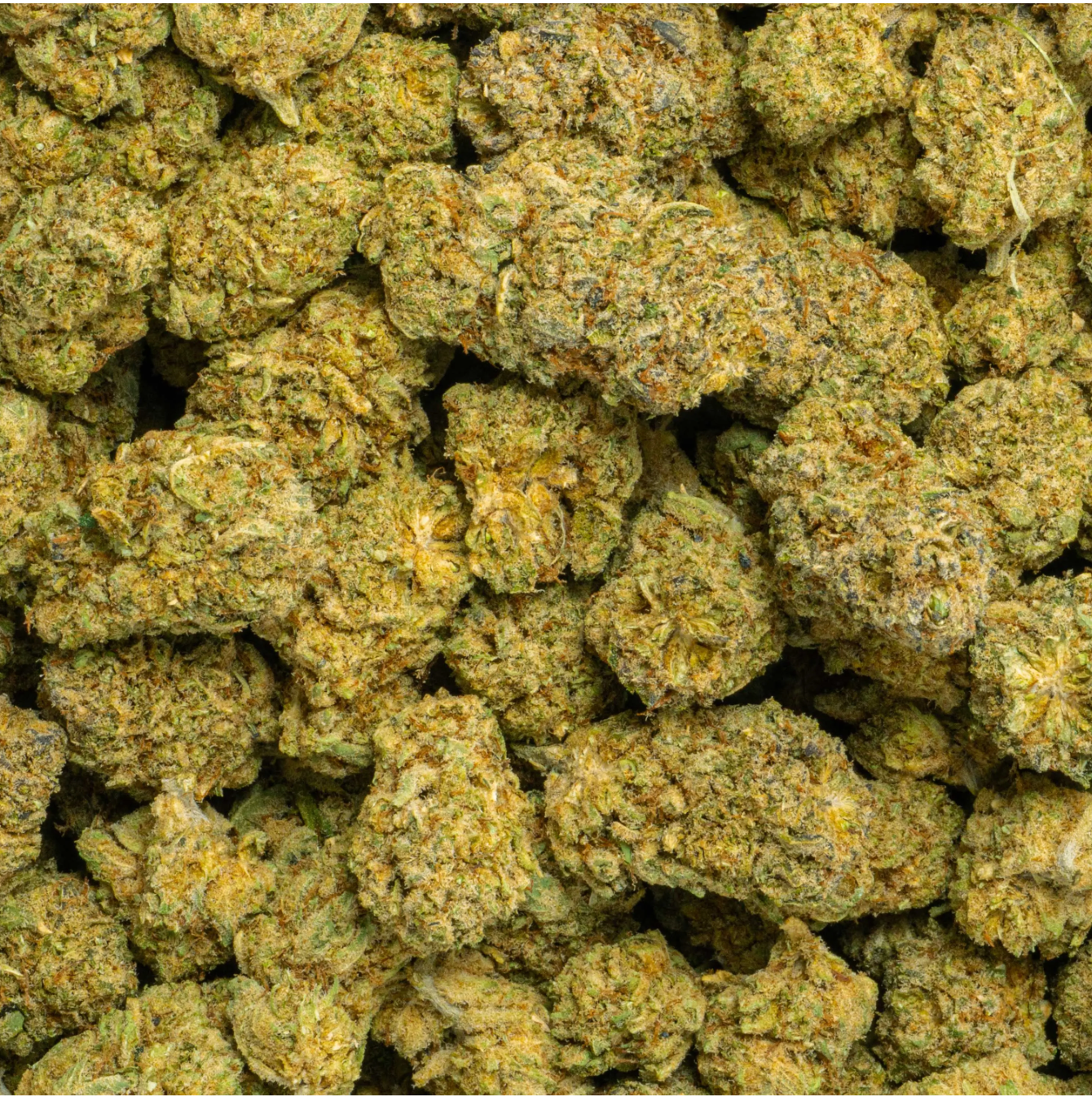Habibi CBD flower indica 28g