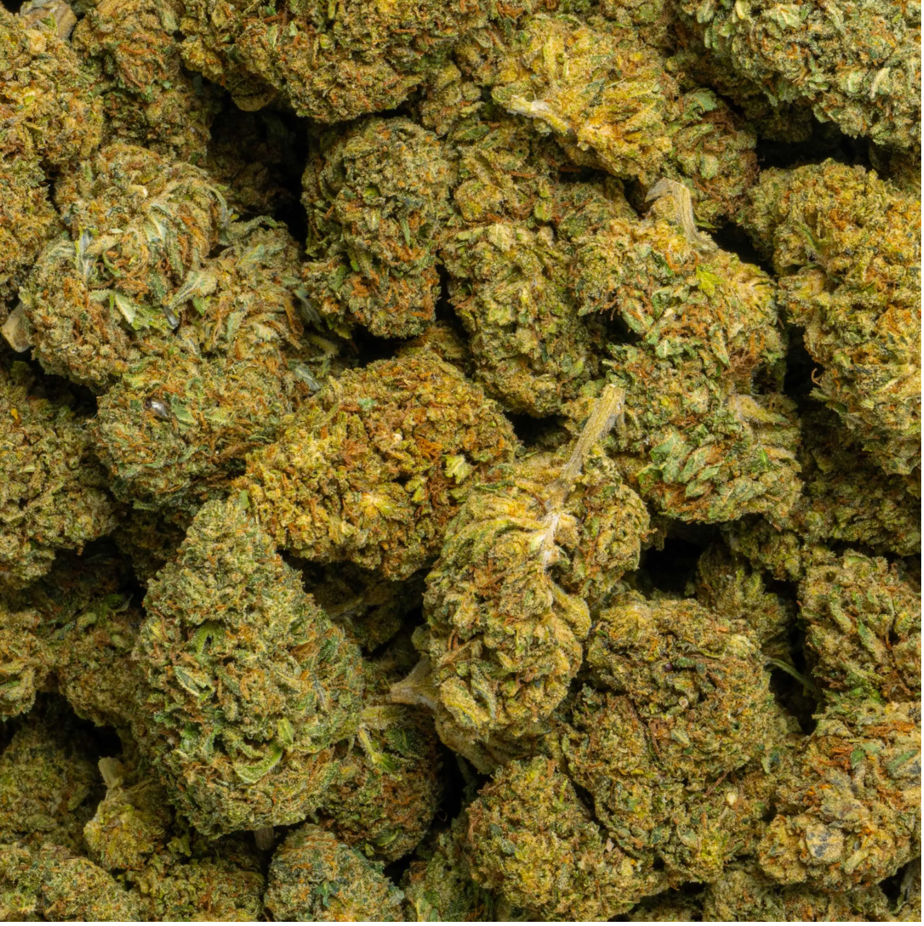 Berry Pie CBD flower sativa 28g