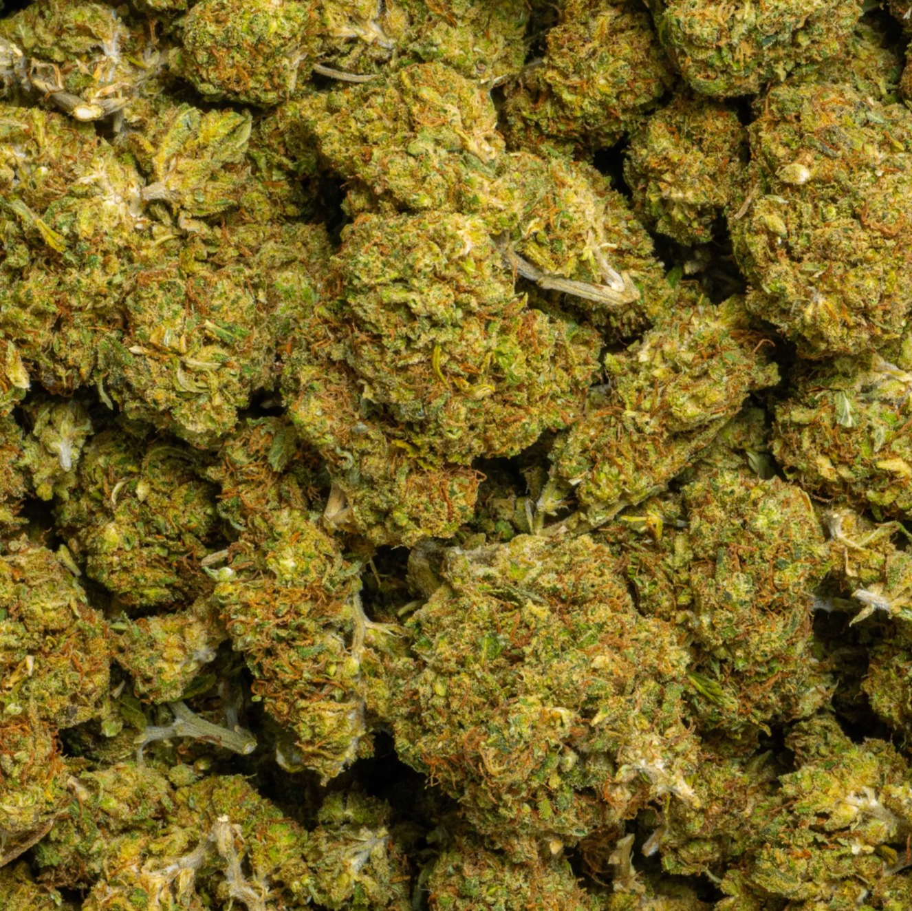 Sour Chem CBD flower sativa 28g