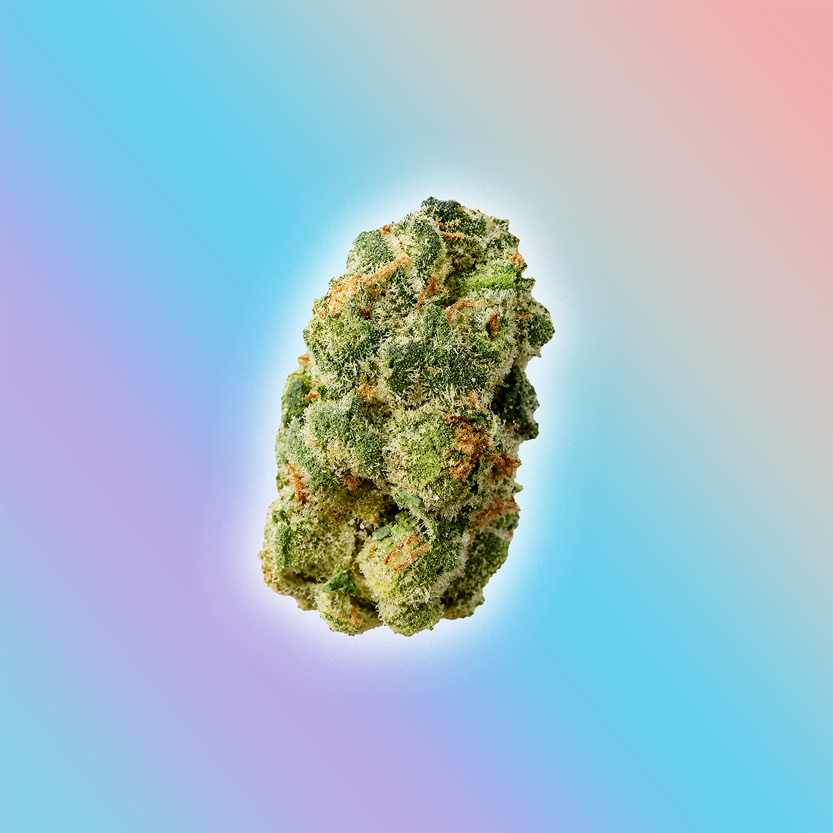 Sherbanger THCa flower smalls hybrid 28g
