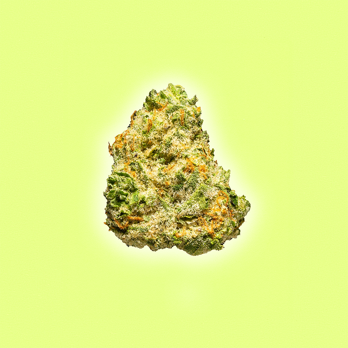 Apple Sherbet - THCa Flower Smalls - Sativa