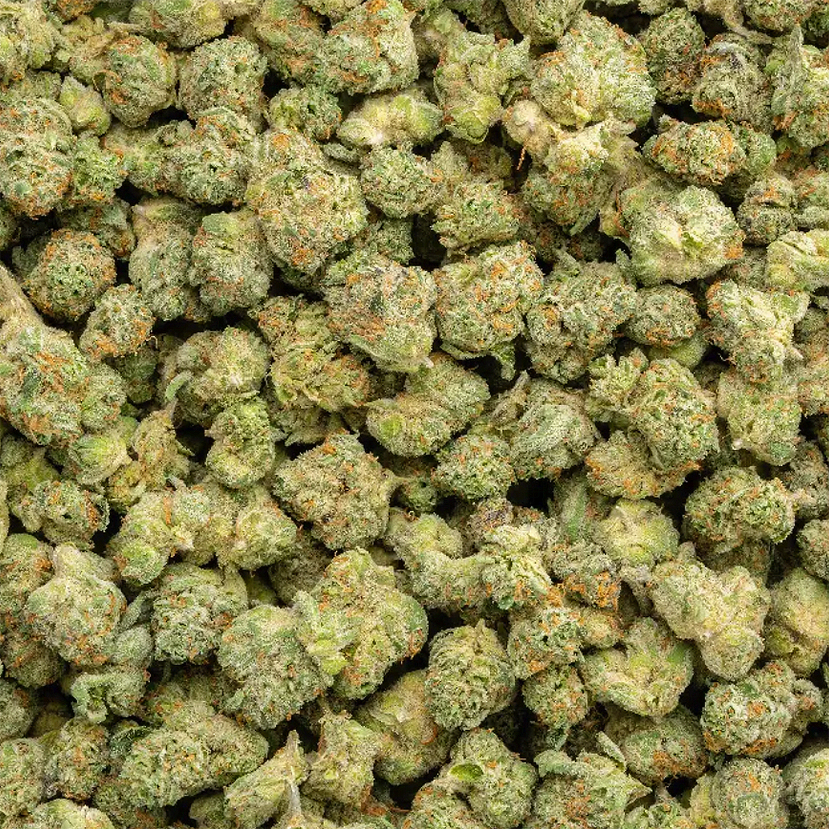 Apple Sherbet - THCa Flower Smalls - Sativa
