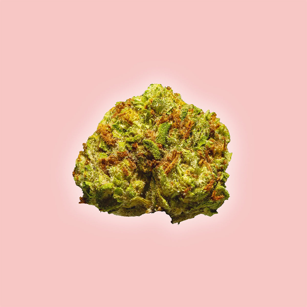 Bubblegum Horchata - THCa Flower Smalls - Indica