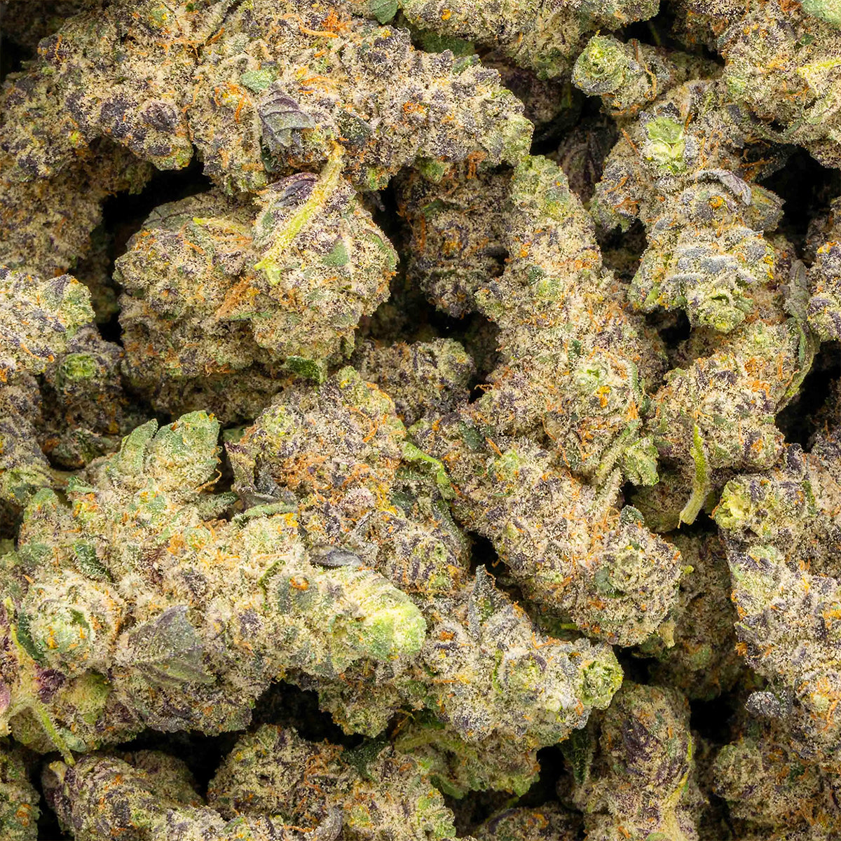 Neon Slushie - THCa Flower - Indica