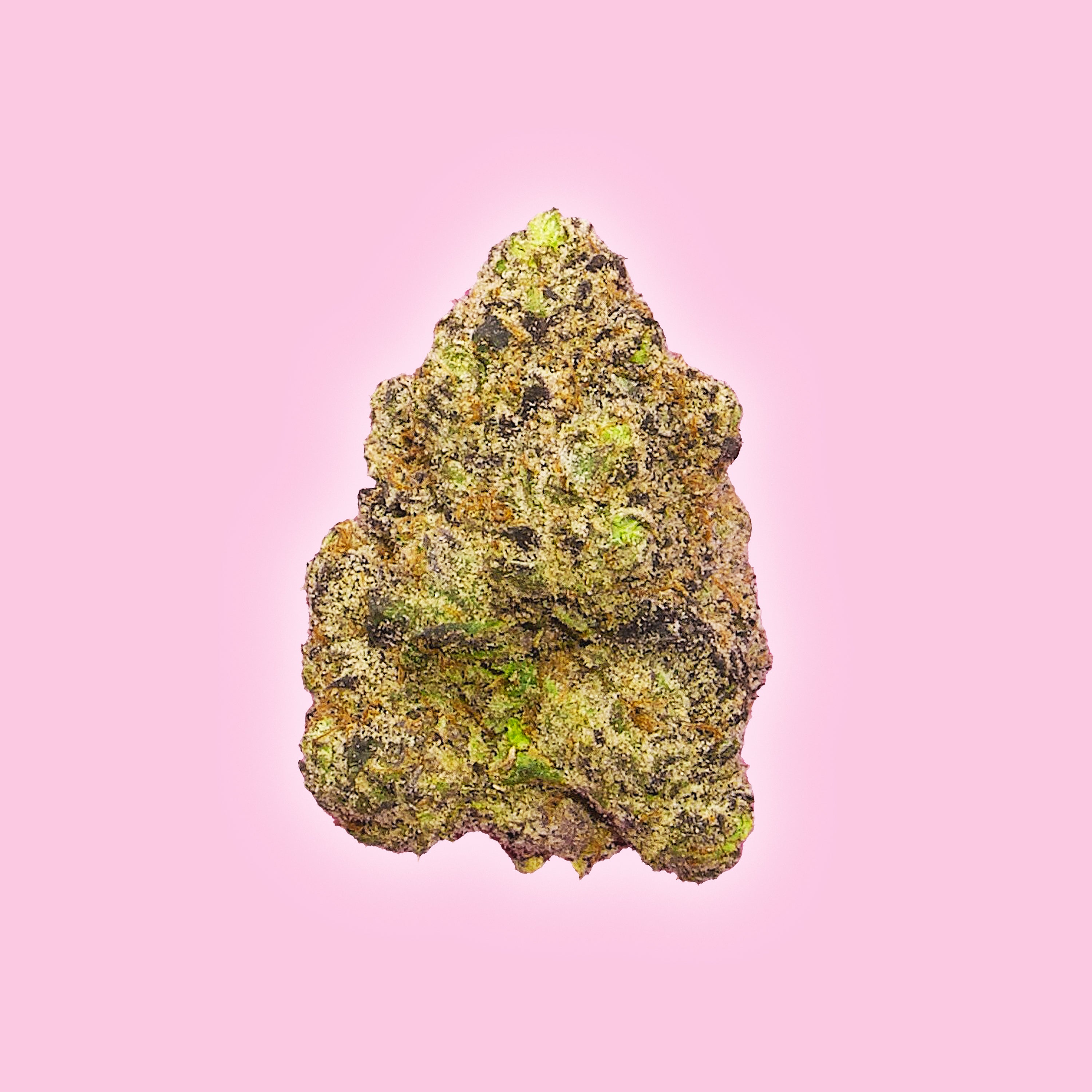 Gumbo - THCa Flower - Indica