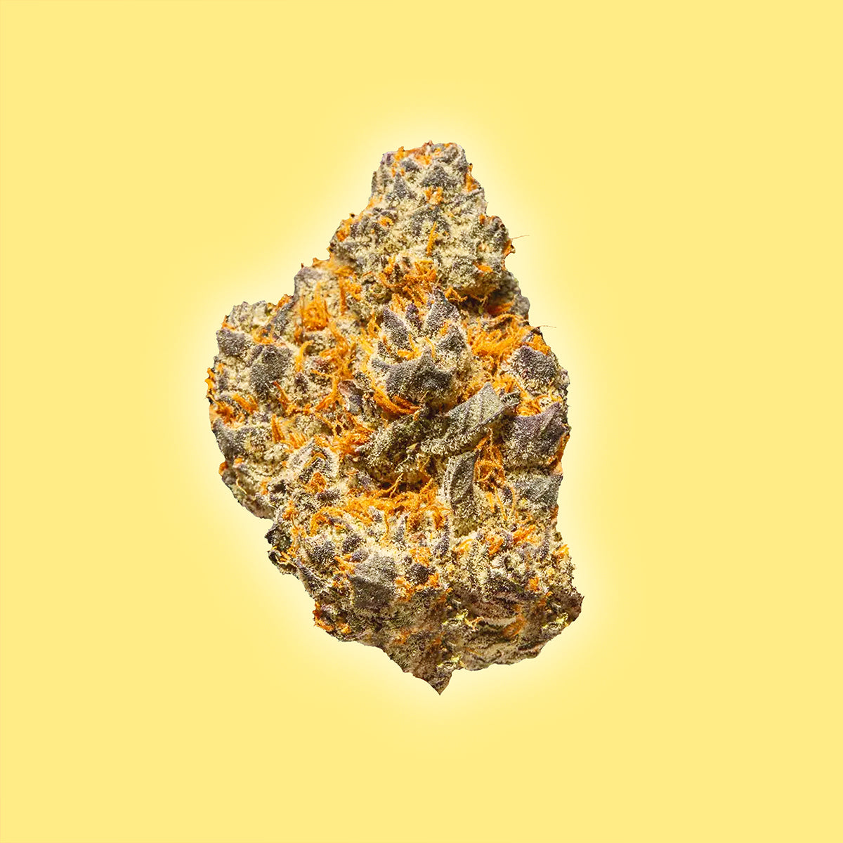 Lemon Slam - THCa Flower - Sativa