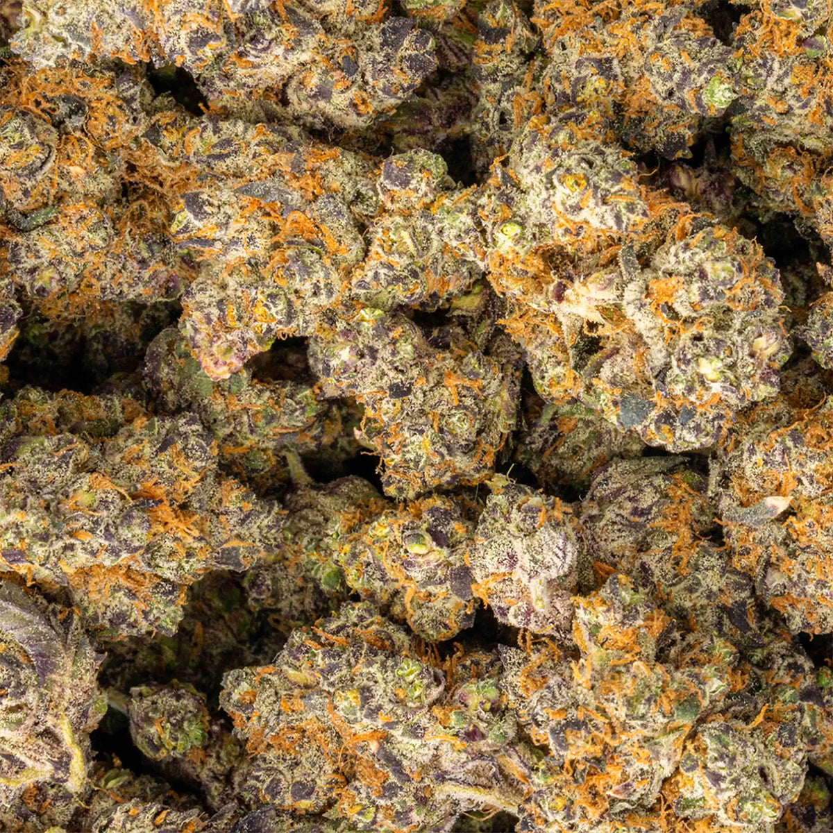 Lemon Slam - THCa Flower - Sativa