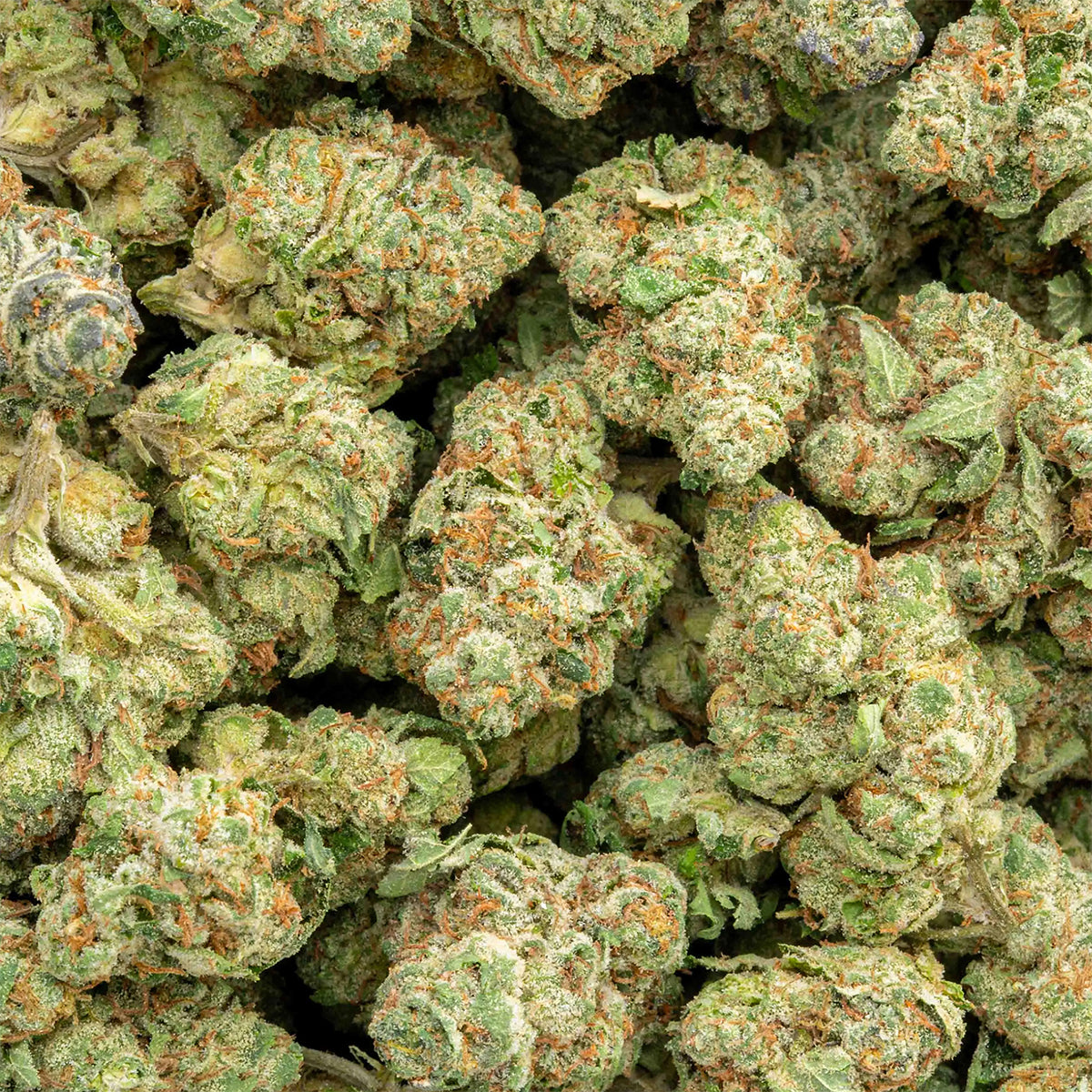 Lemon Cherry Gelato - THCa Flower Smalls - Hybrid