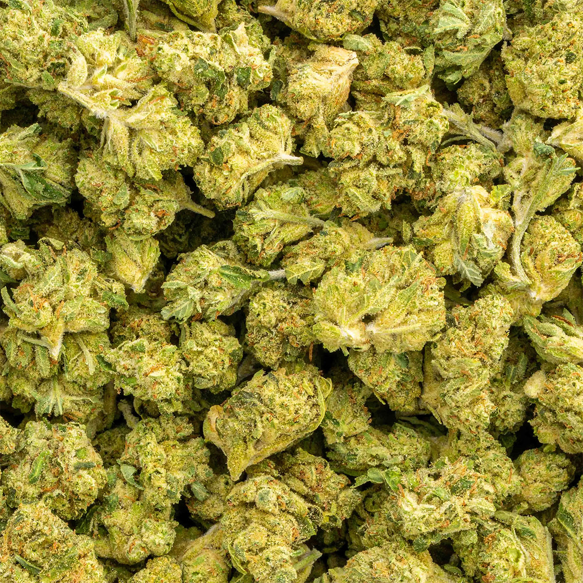 OG Kush - THCa Flower Smalls - Sativa