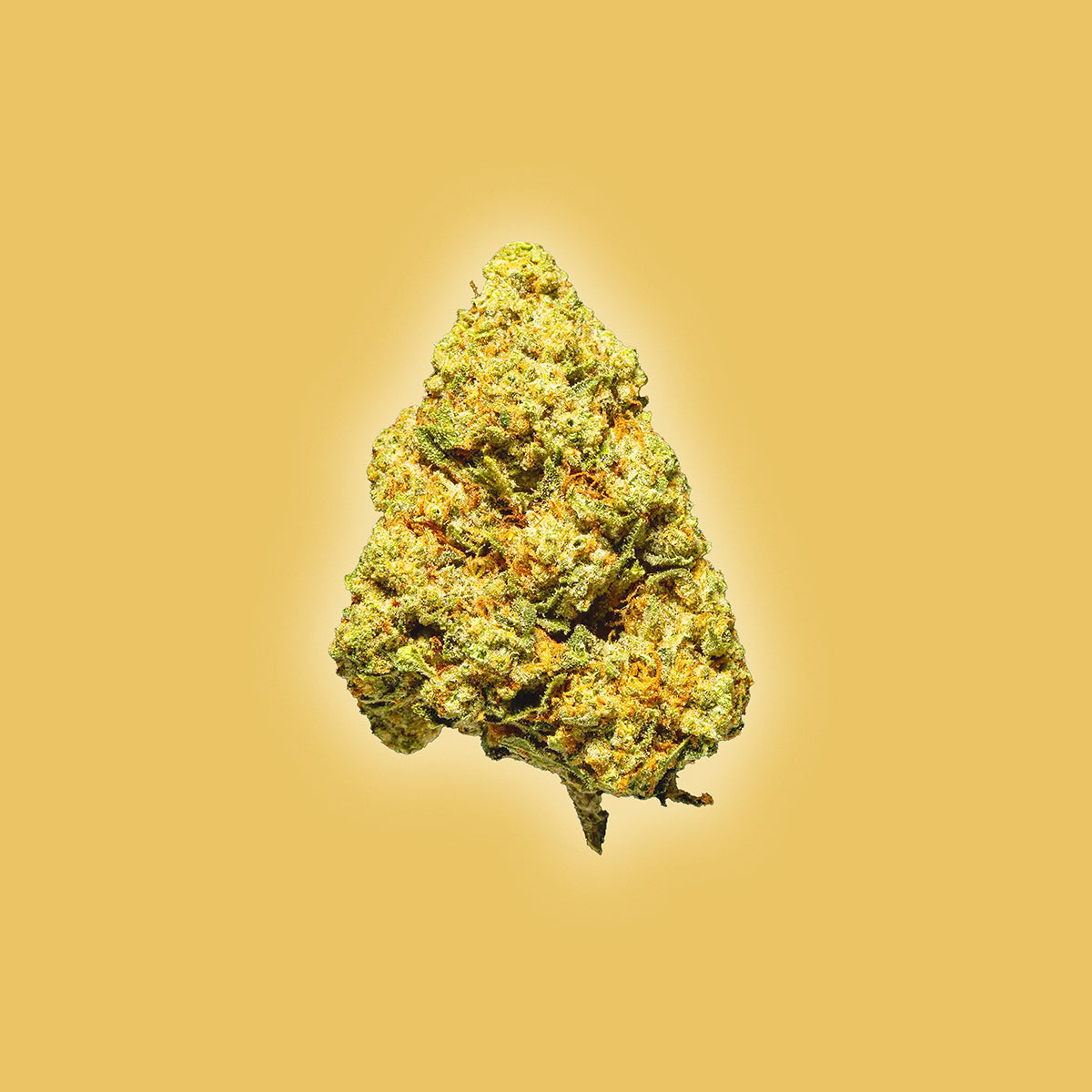 Pure Kush - THCa Flower - Indica