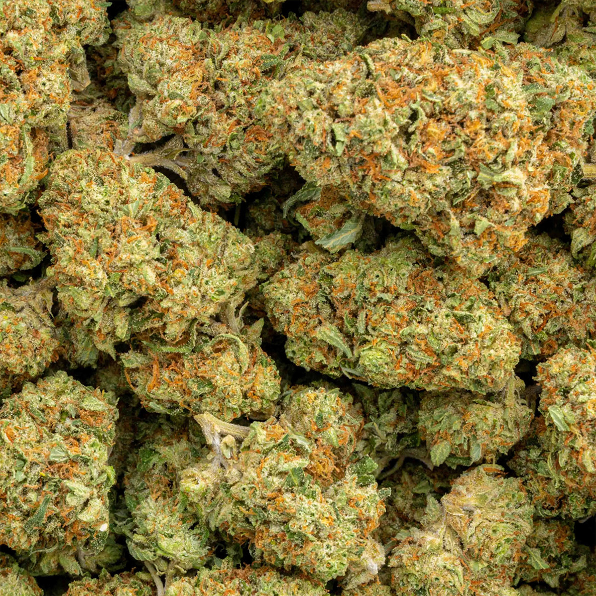 Pure Kush - THCa Flower - Indica