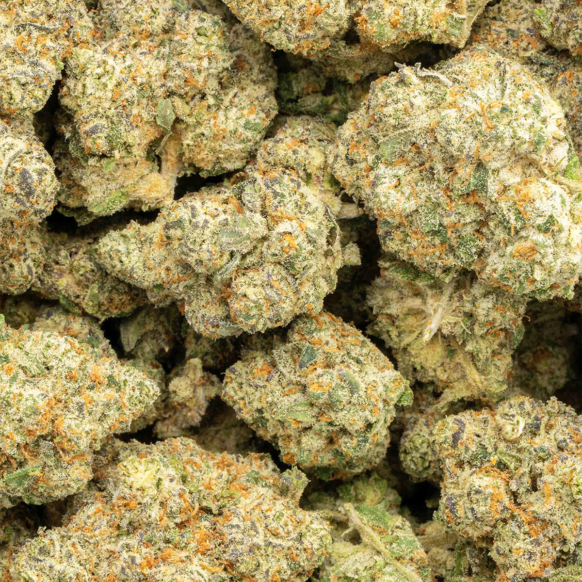 Sweet Tea - THCa Flower - Sativa