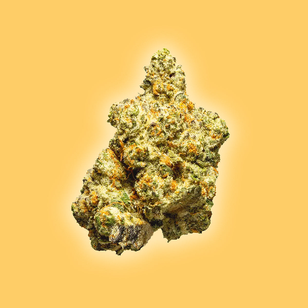 Sweet Tea - THCa Flower - Sativa