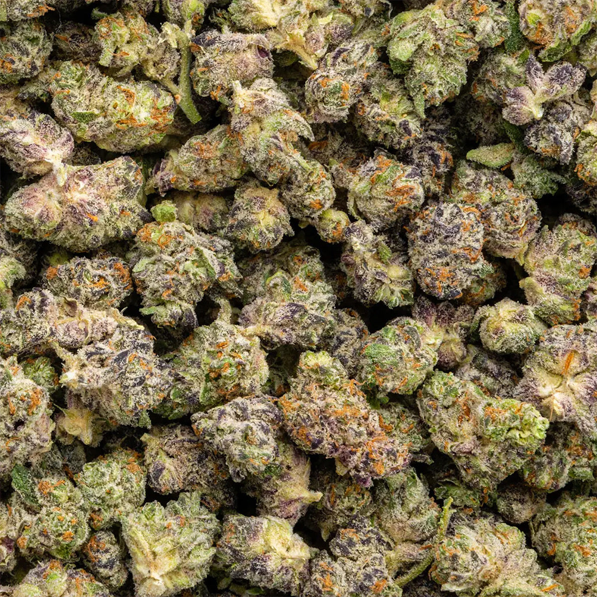 White Truffle THCa flower smalls indica close-up
