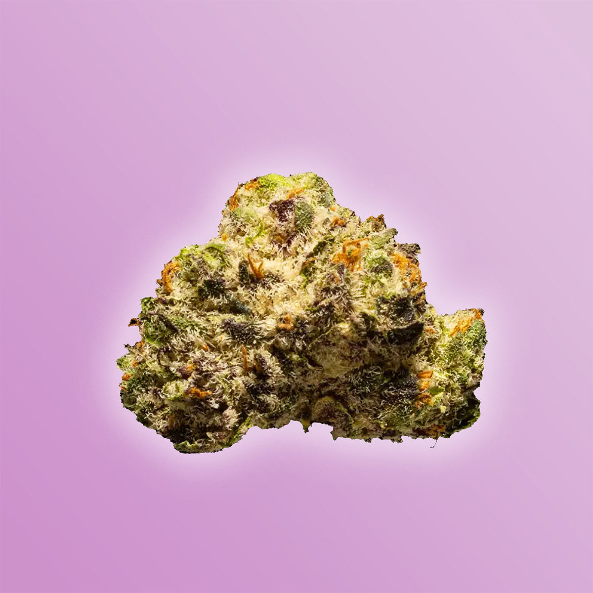 White Truffle THCa flower smalls indica 28g